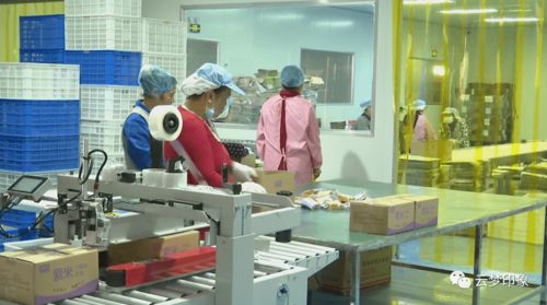 云夢經(jīng)濟(jì)開發(fā)區(qū) 以完善服務(wù)體系為抓手，實(shí)現(xiàn)政企雙贏的信息系統(tǒng)運(yùn)行維護(hù)新篇章